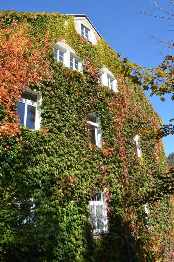 Burg Schoena سكميكا المظهر الخارجي الصورة