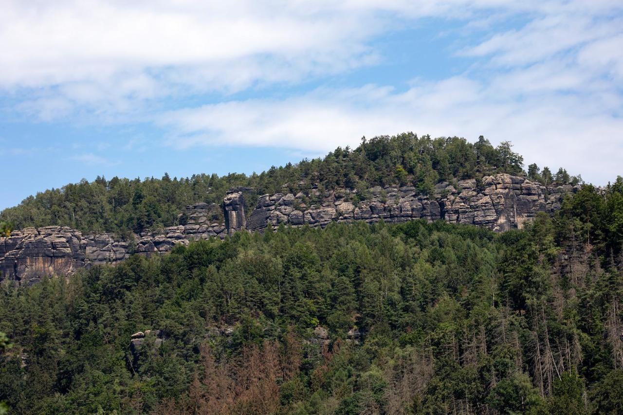 Burg Schoena سكميكا المظهر الخارجي الصورة